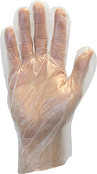 Clear polyethylene, powder-free glove.